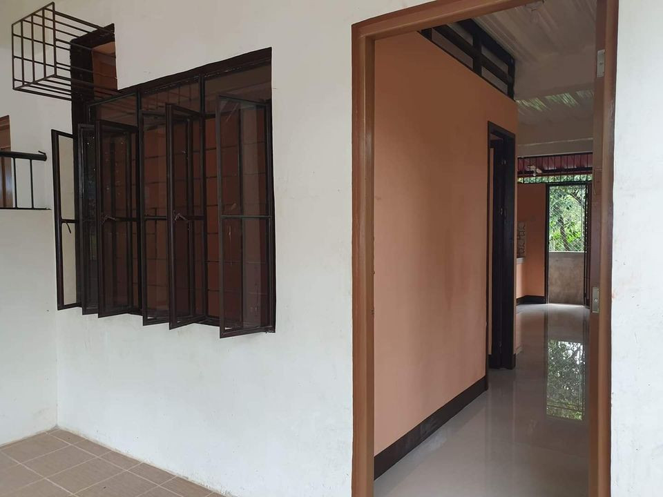 Gallery 2