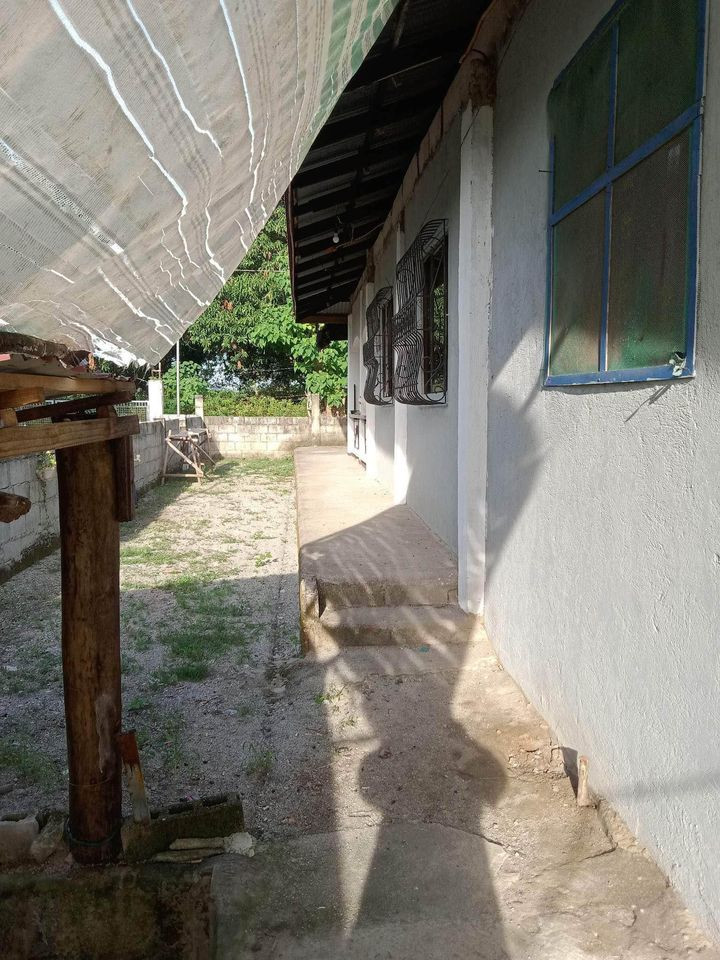 Gallery 2