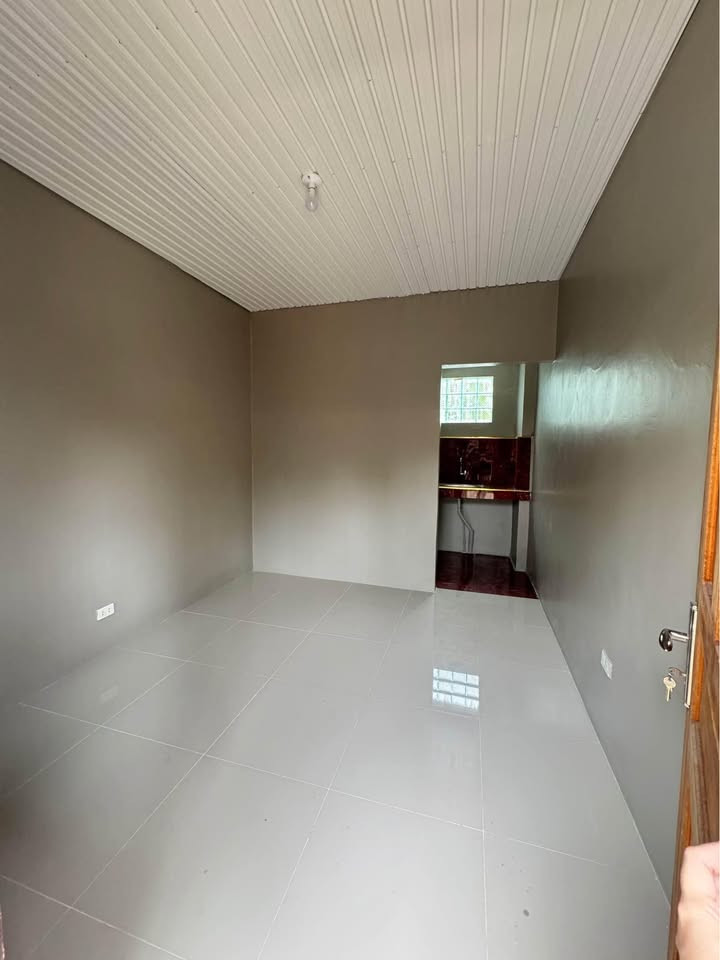 Gallery 3