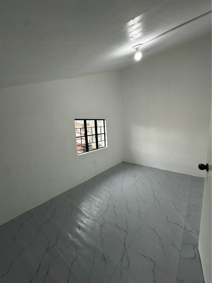 Gallery 5