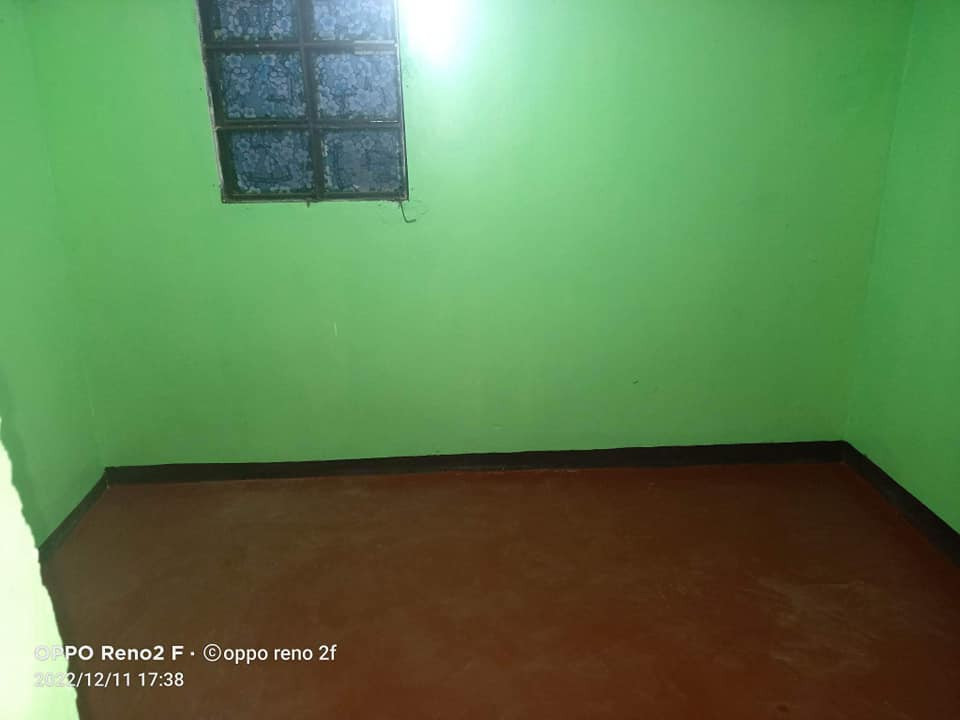 Gallery 5