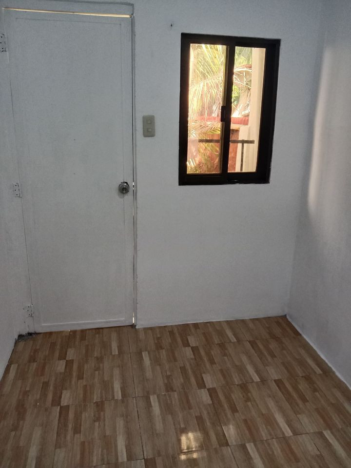 Gallery 3
