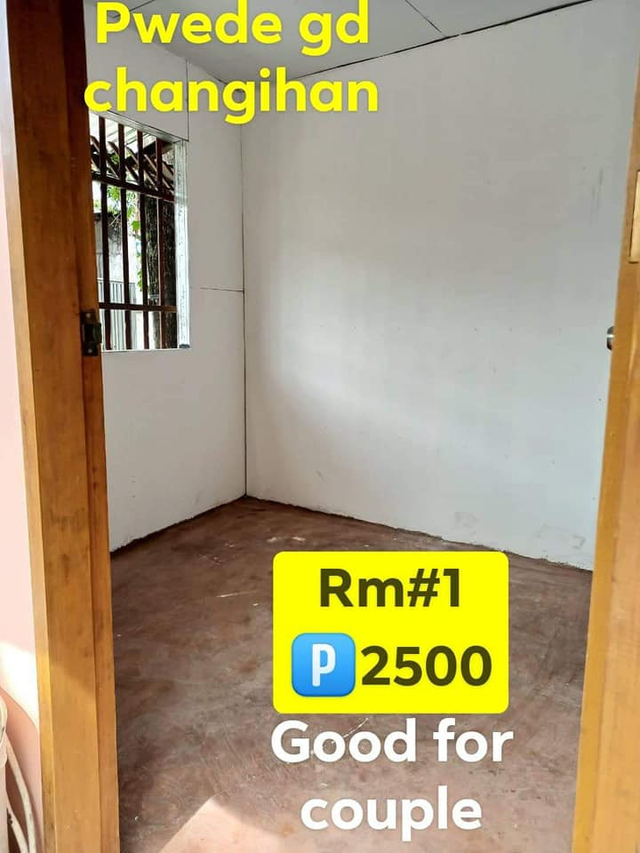 Gallery 3