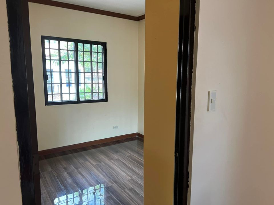 Gallery 5