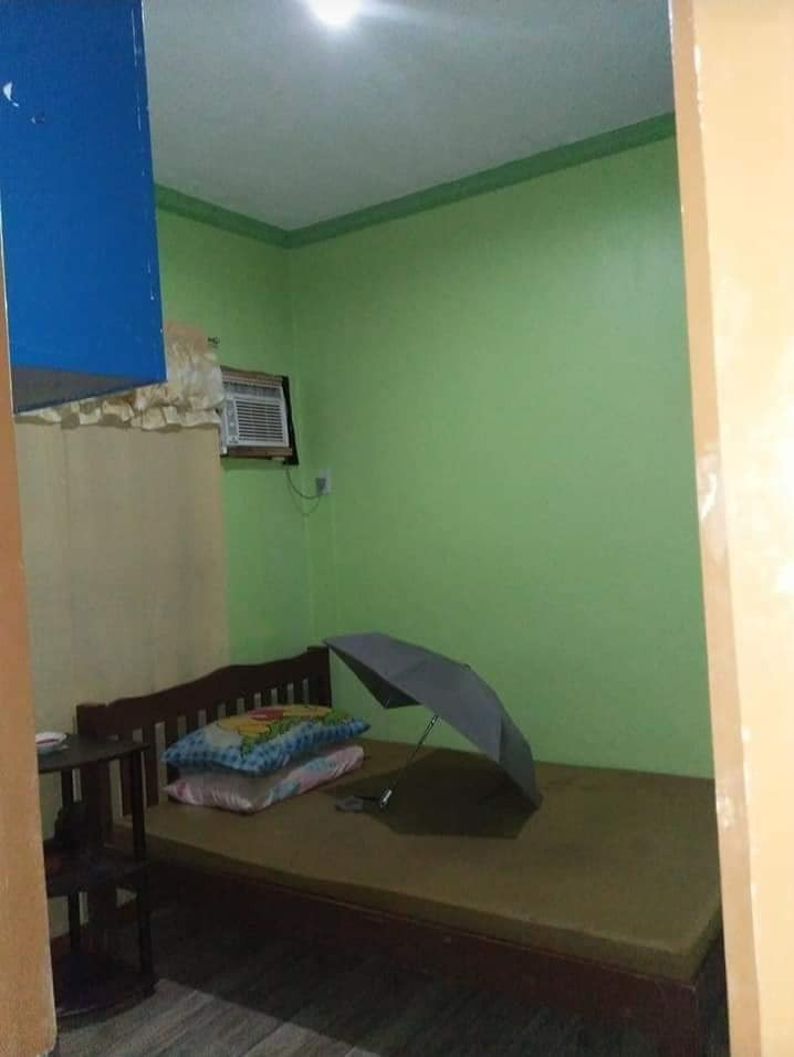 Gallery 5