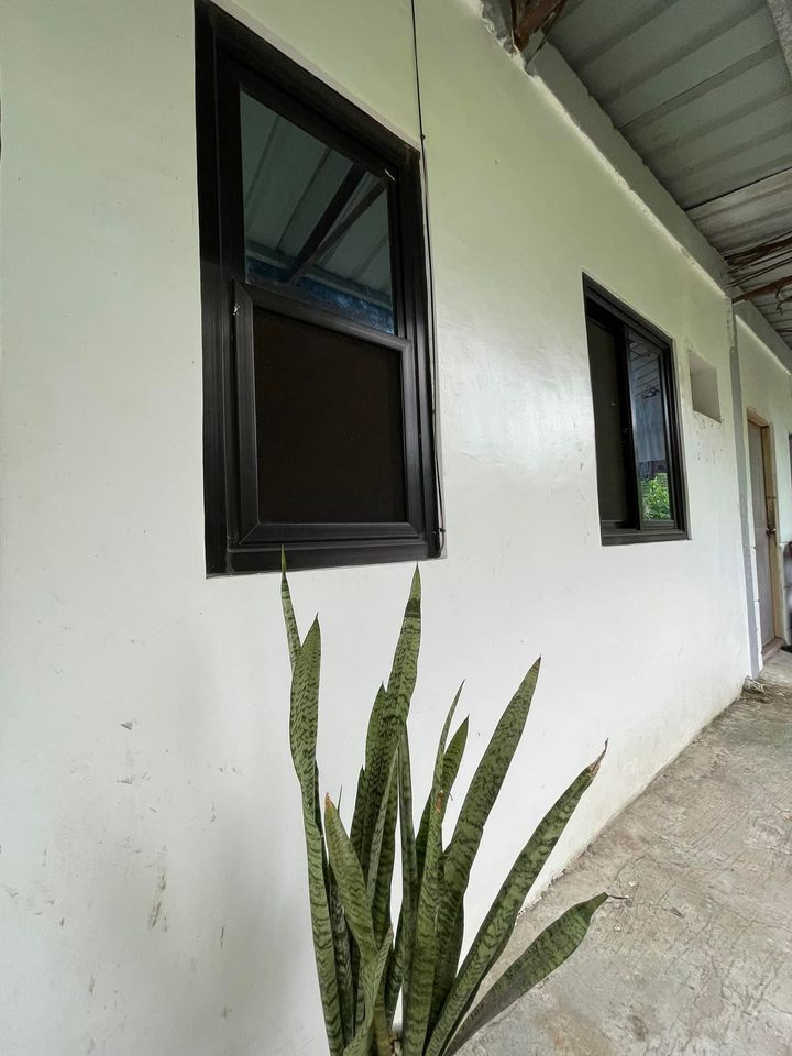 Gallery 2