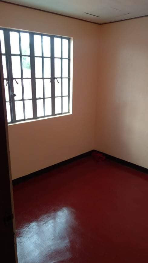 Gallery 5