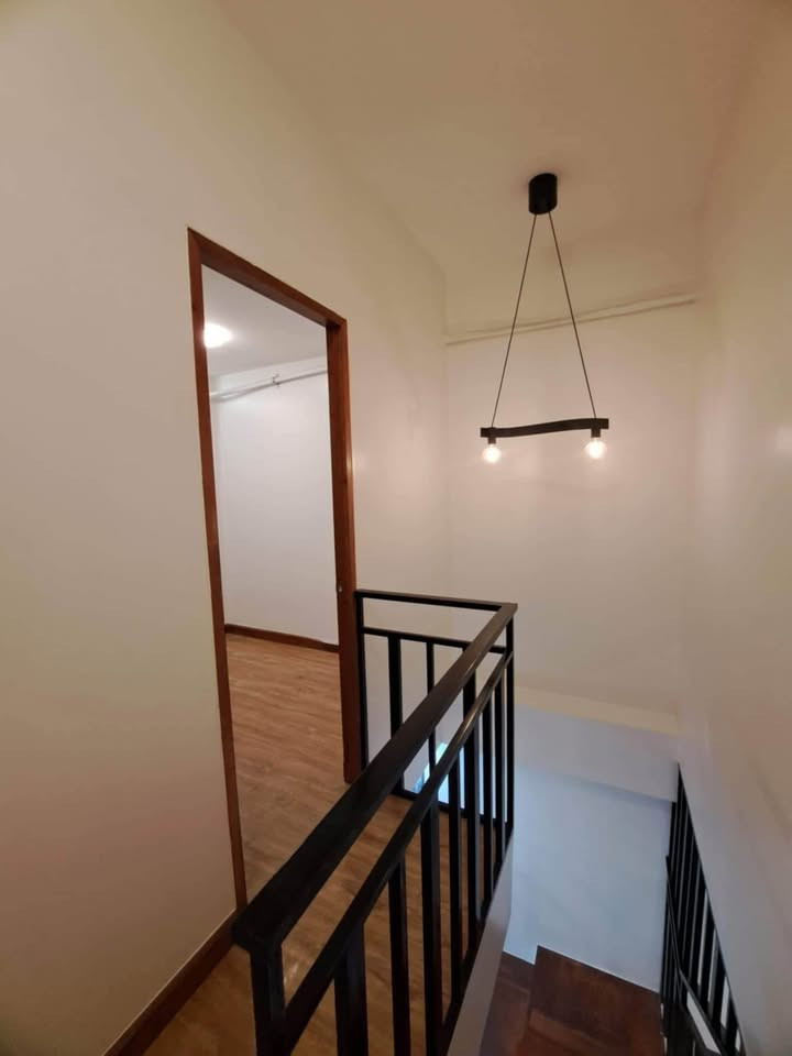 Gallery 5