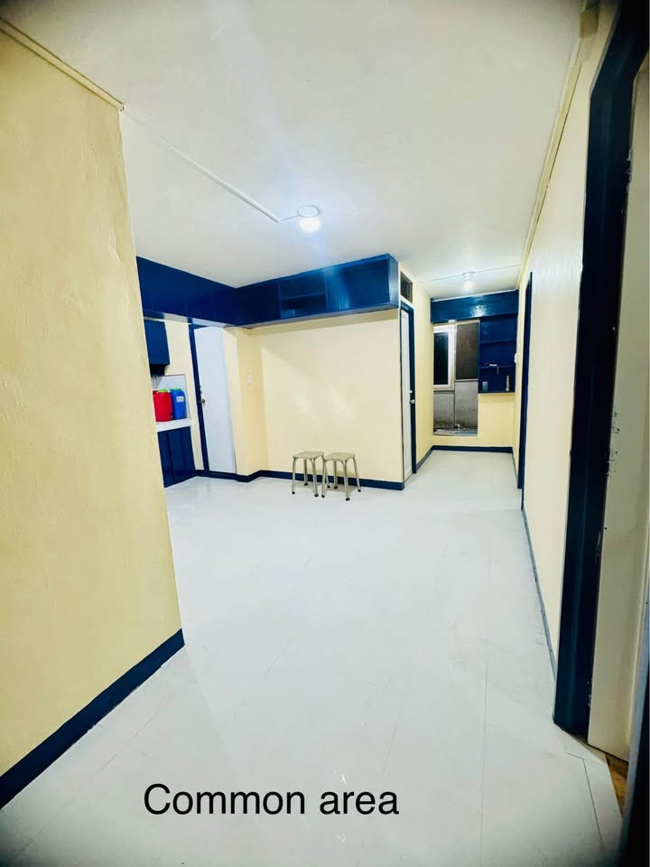 Gallery 4