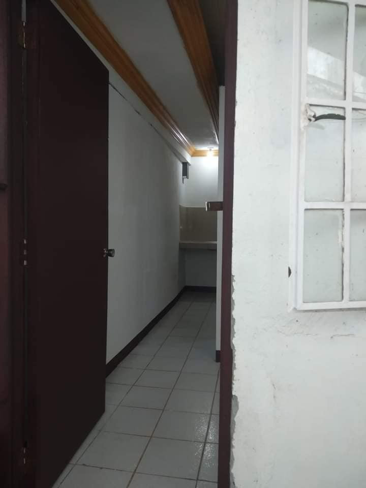Gallery 5