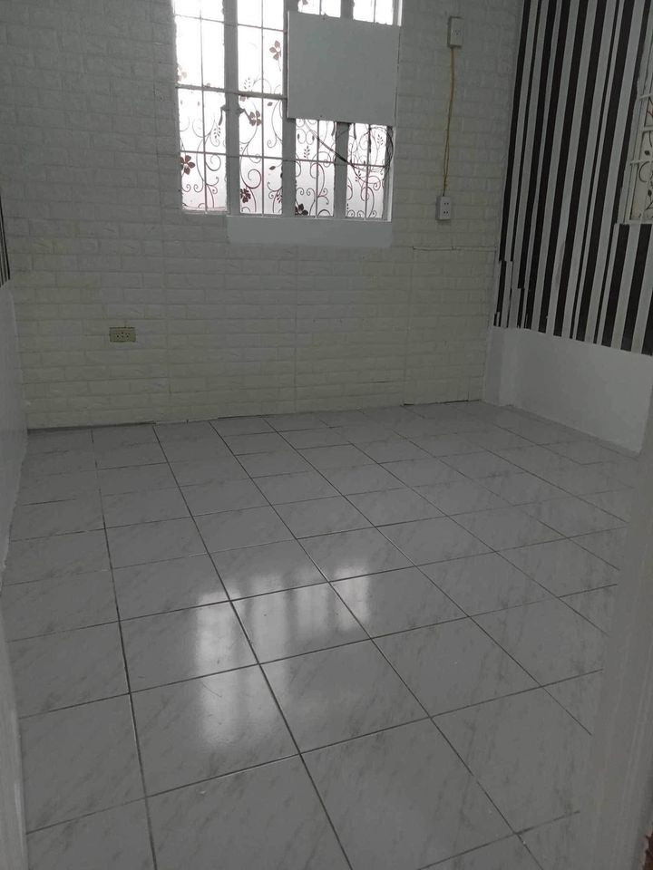 Gallery 4