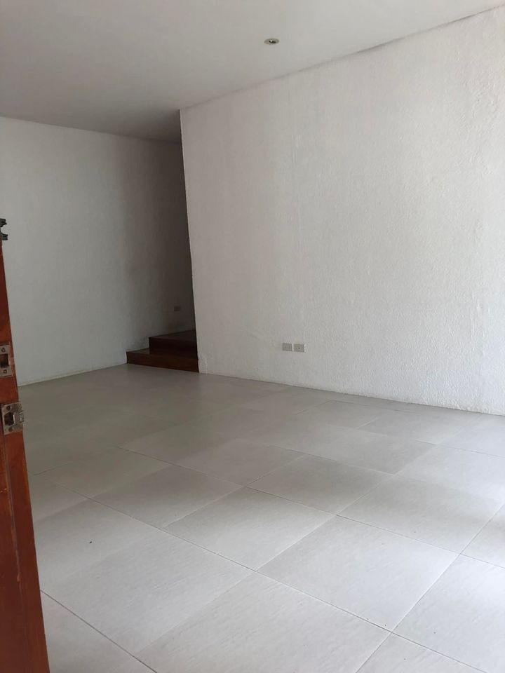 Gallery 5