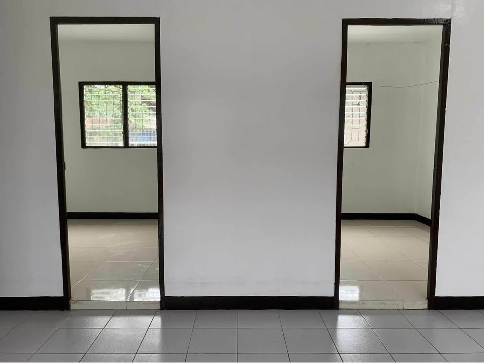 Gallery 5