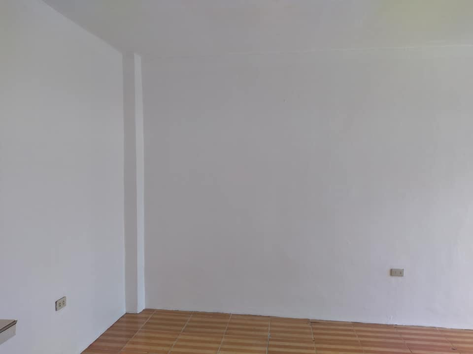 Gallery 5