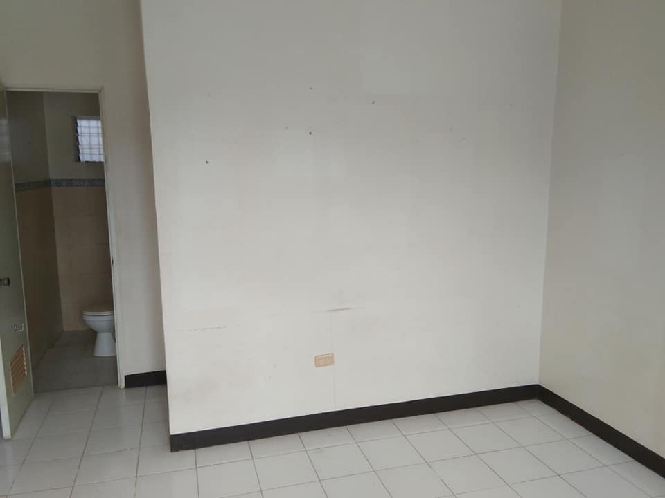 Gallery 5