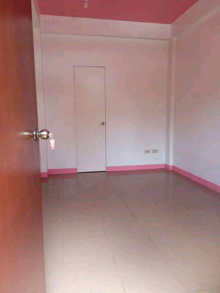 Gallery 3