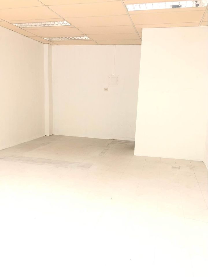 Gallery 3