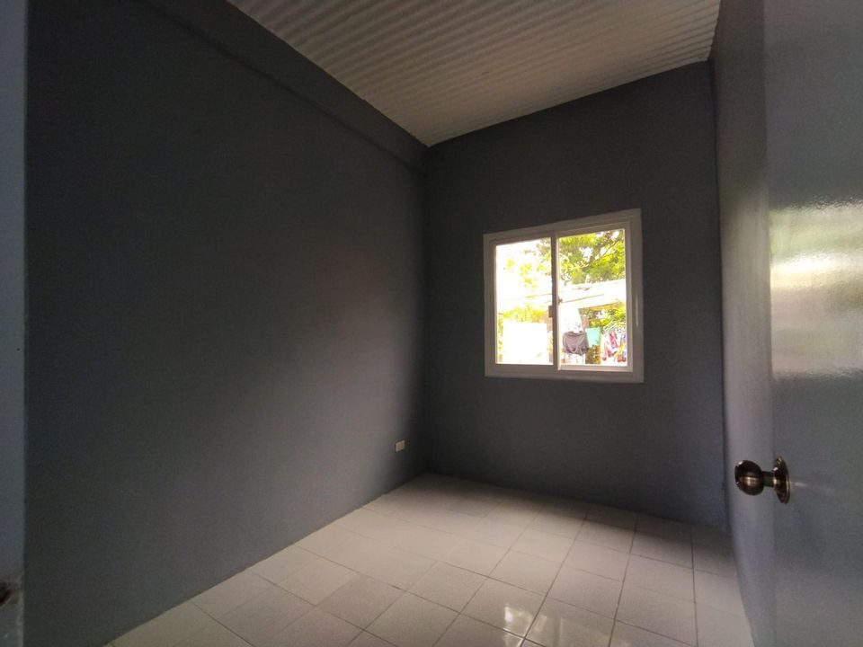 Gallery 5