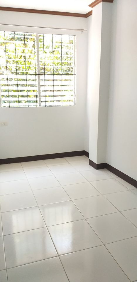 Gallery 2