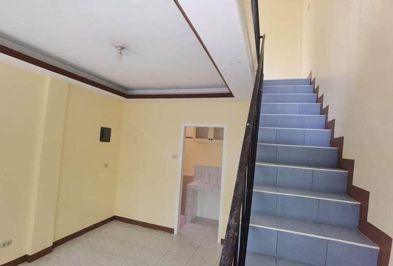 Gallery 5