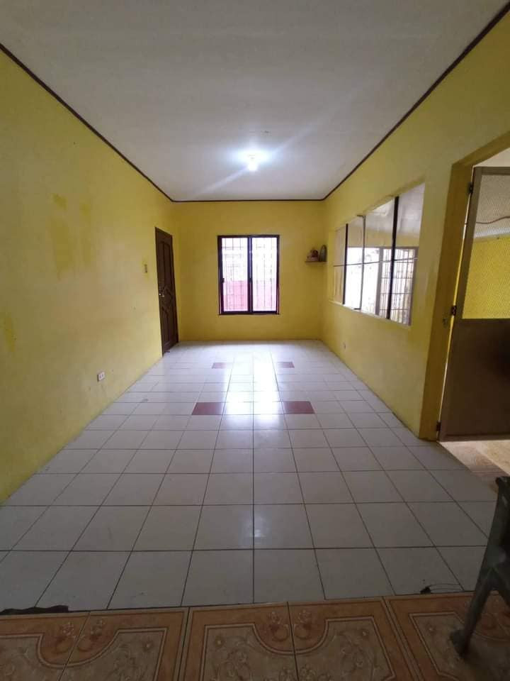 Gallery 3