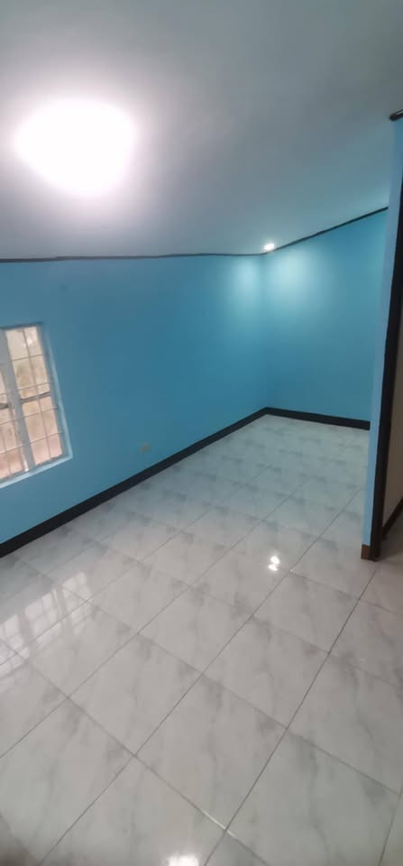 Gallery 3