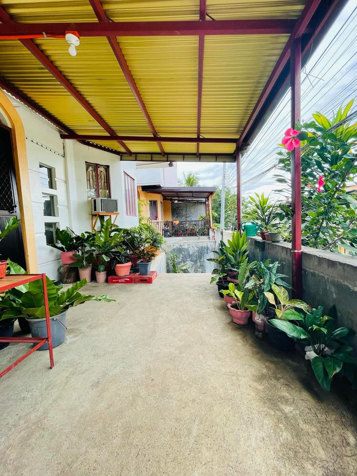 Gallery 2