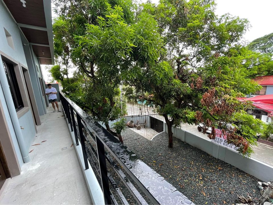 Gallery 5
