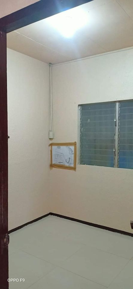 Gallery 5