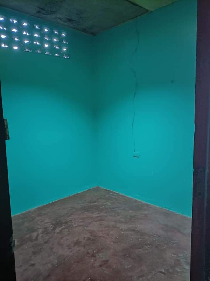 Gallery 3