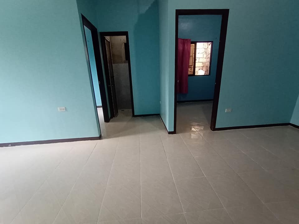 Gallery 2