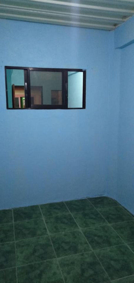 Gallery 4