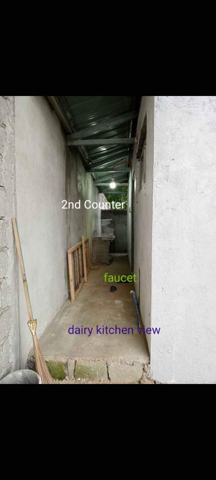 Gallery 5