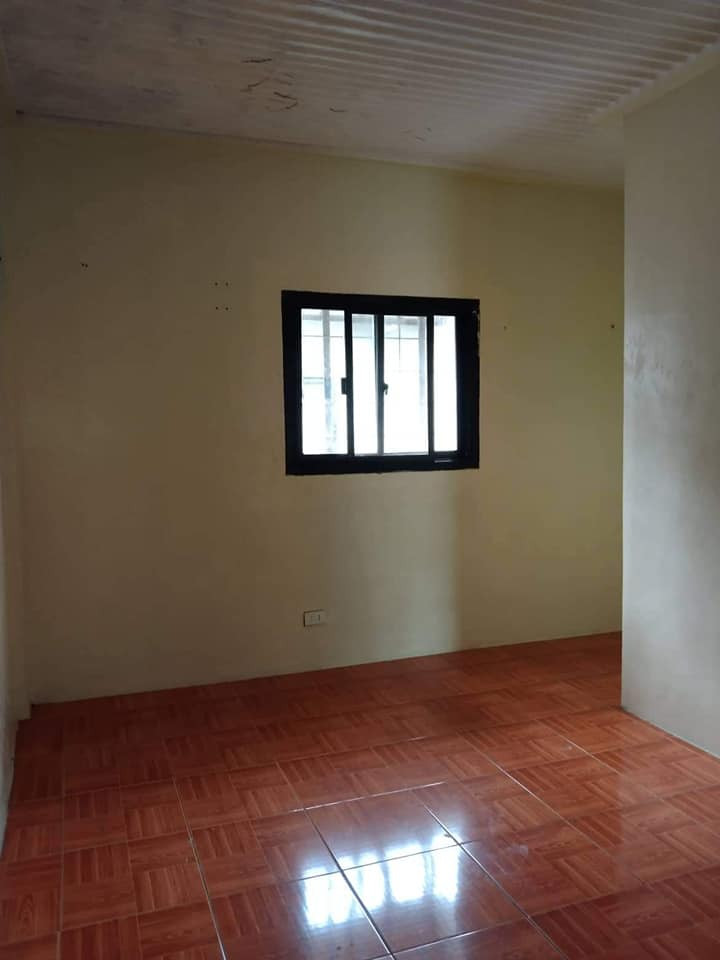 Gallery 5