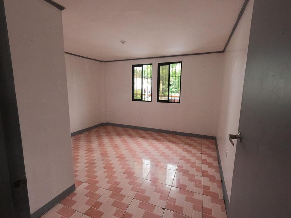 Gallery 5
