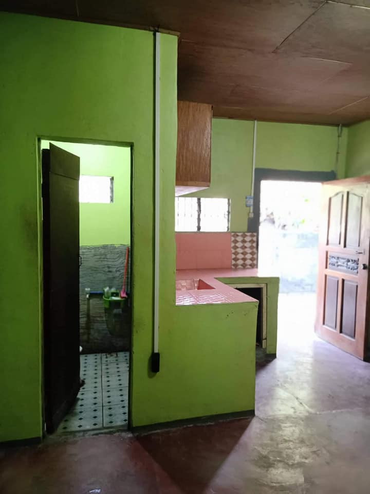 Gallery 5