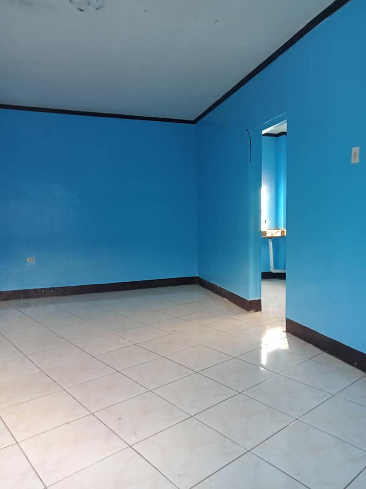 Gallery 5