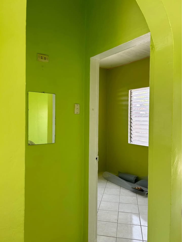 Gallery 4