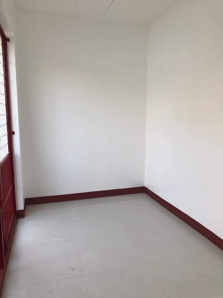 Gallery 5