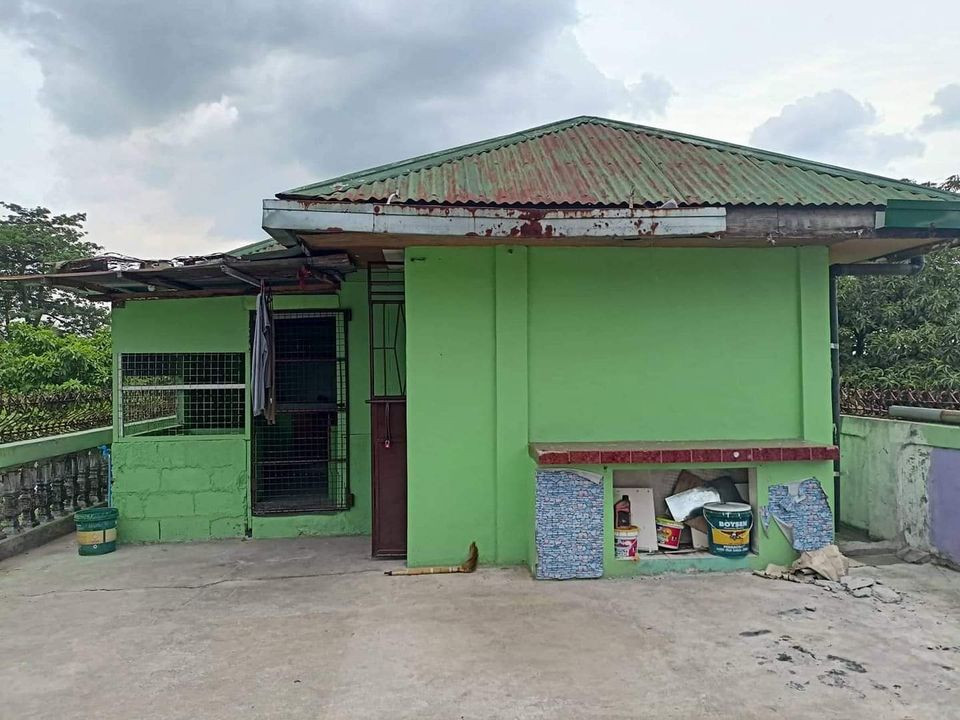 House for rent