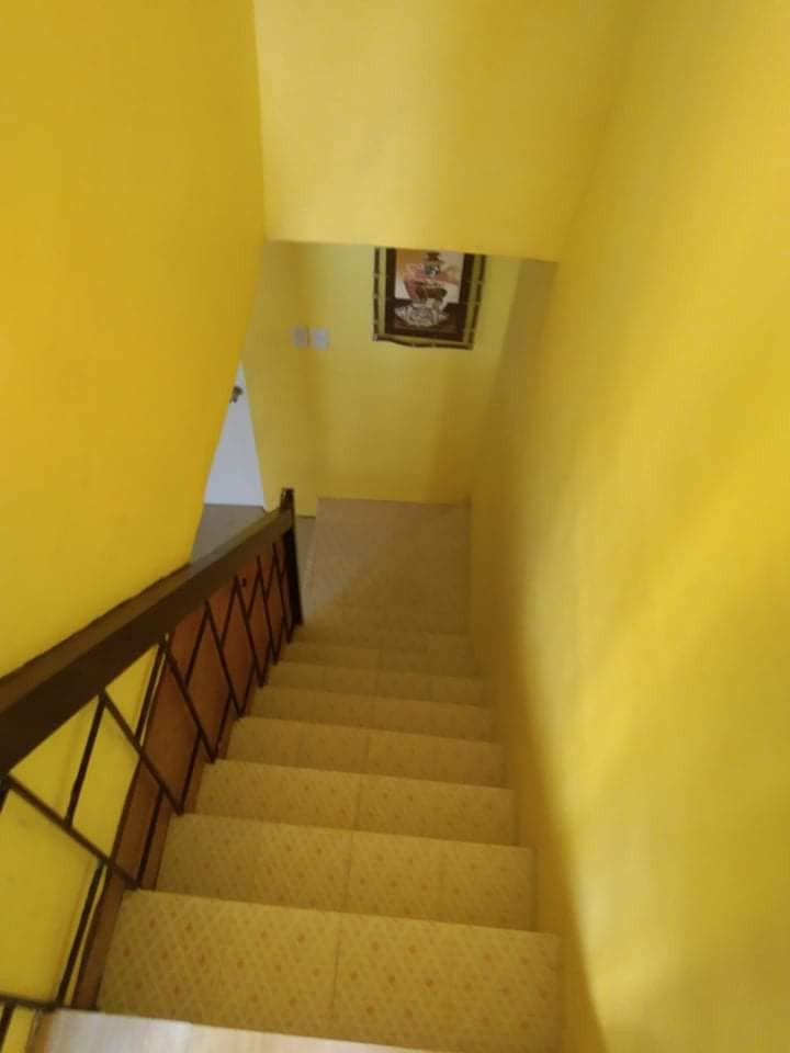 Gallery 4