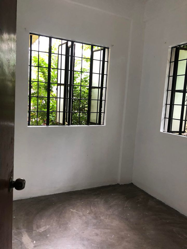 Gallery 5