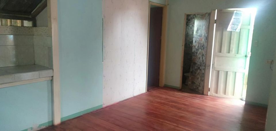 Gallery 5