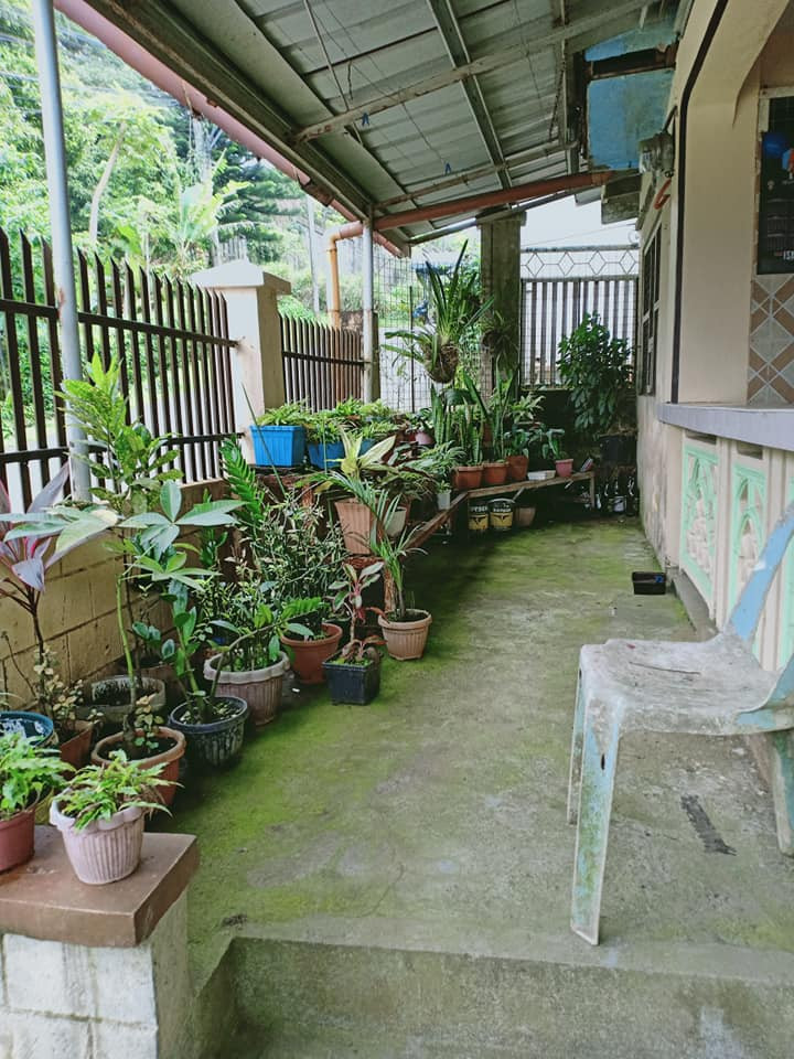 Gallery 3