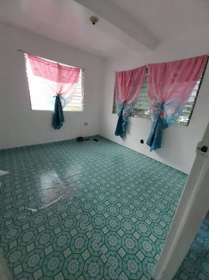 Gallery 3
