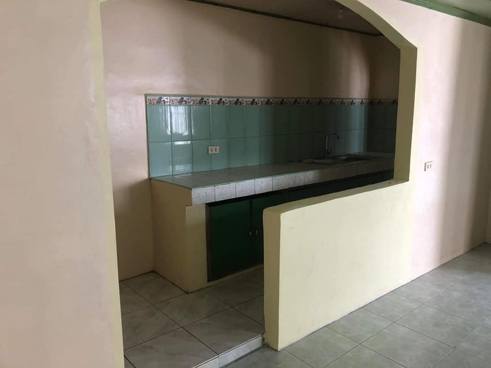 Gallery 4