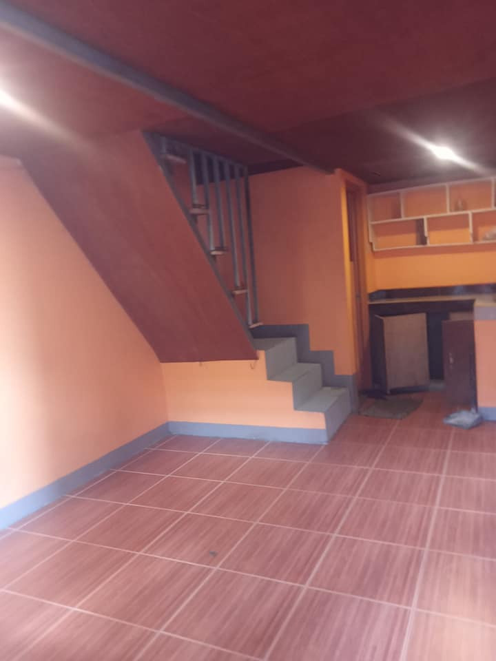 Gallery 5