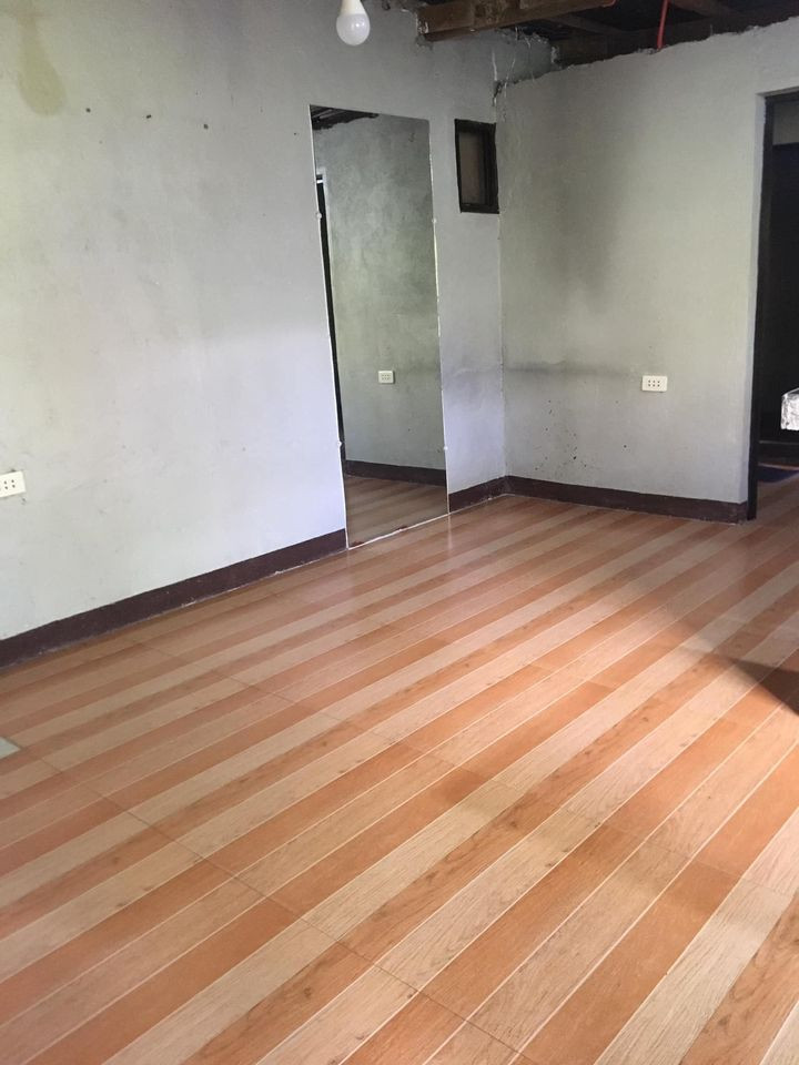 Gallery 3
