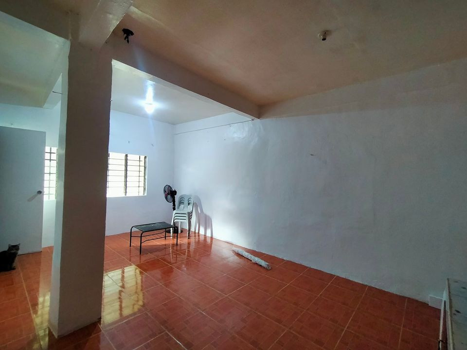Gallery 4