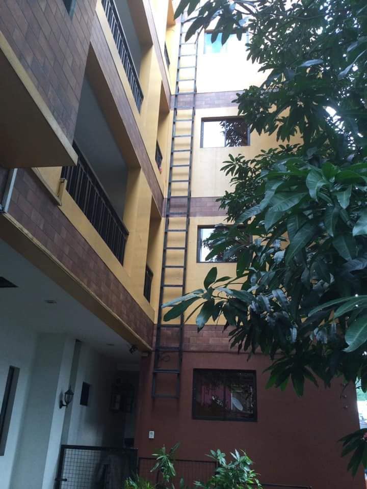 Gallery 4